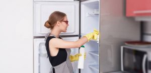 Cách vệ sinh bảo dưỡng tủ lạnh tại nhà đơn giản